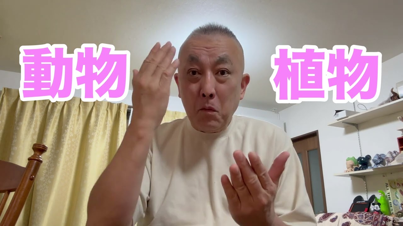 珊瑚さんごは、植物？動物？