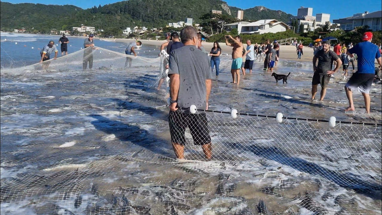 pesca da tainha,  rancho do João Bombinhas Santa Catarina
