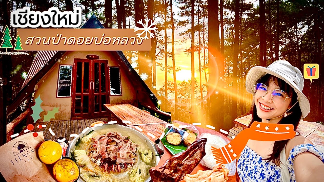 สวนป่าดอยบ่อหลวงเชียงใหม่|ปรางค์ไปคนเดียว