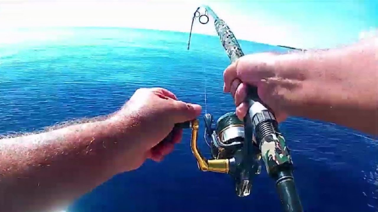 Sortie en mer dorade thon et pêche de fond à l'île de la réunion