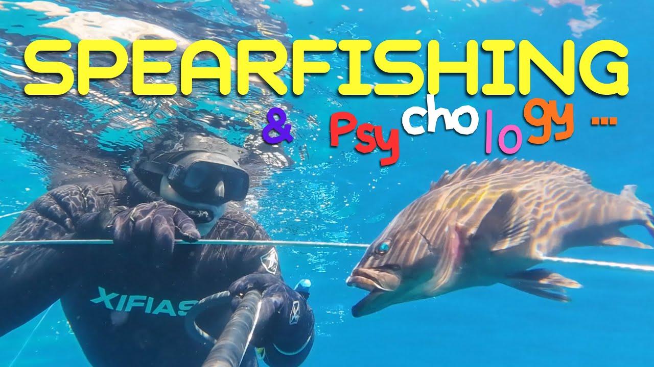 Ψαροντούφεκο🔱και 🧠 Ψυχολογία🤿Spearfishing & Psychology 🐠Ροφος Στηρα Σαργοι Σκαροι Dusky grouper