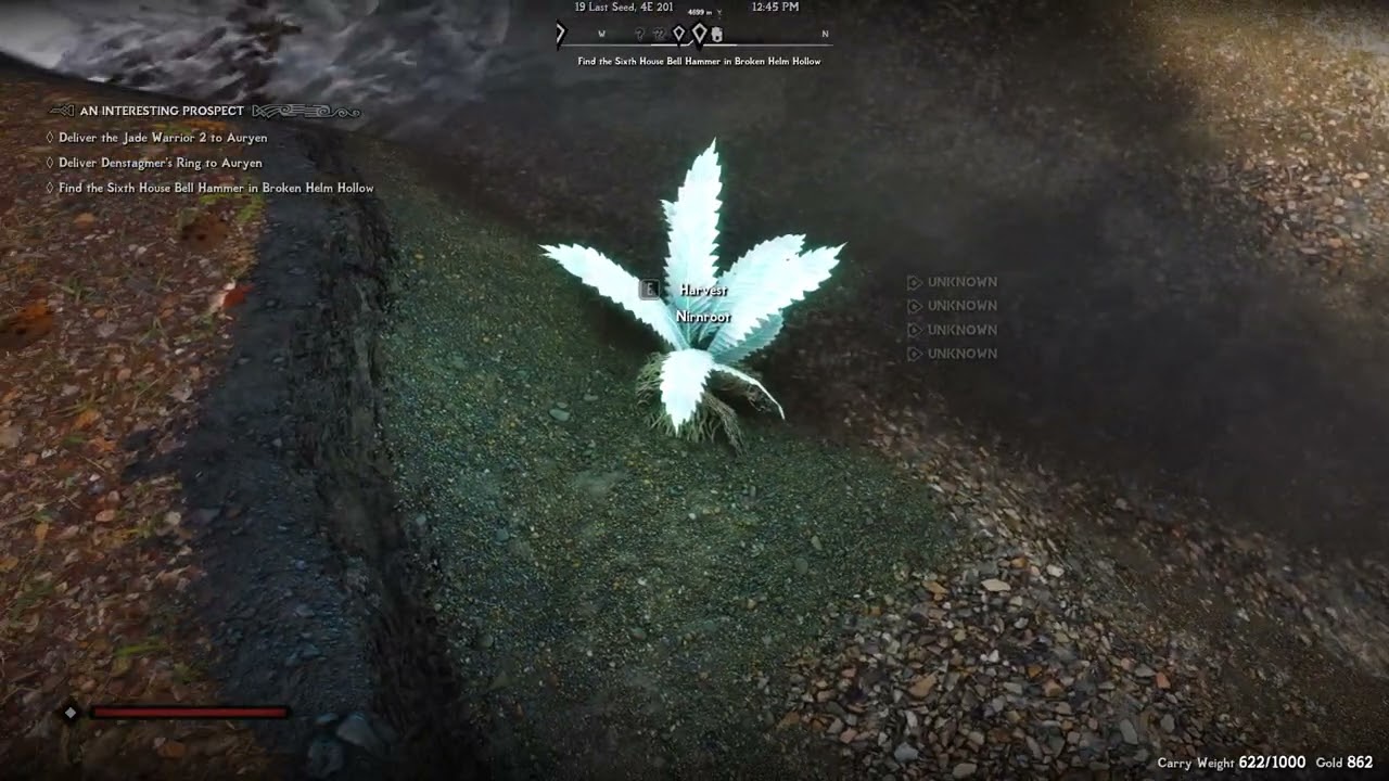 Skyrim | Nirnroot