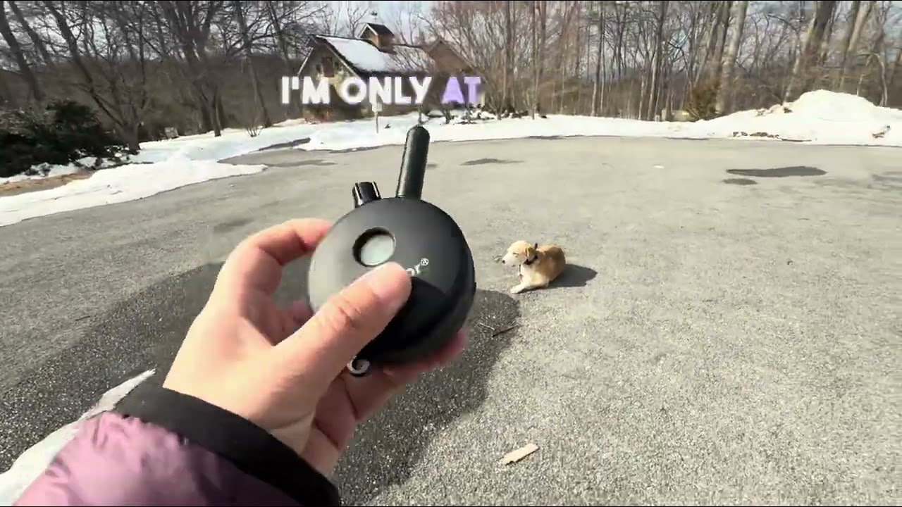 Walk and talk with Murray 