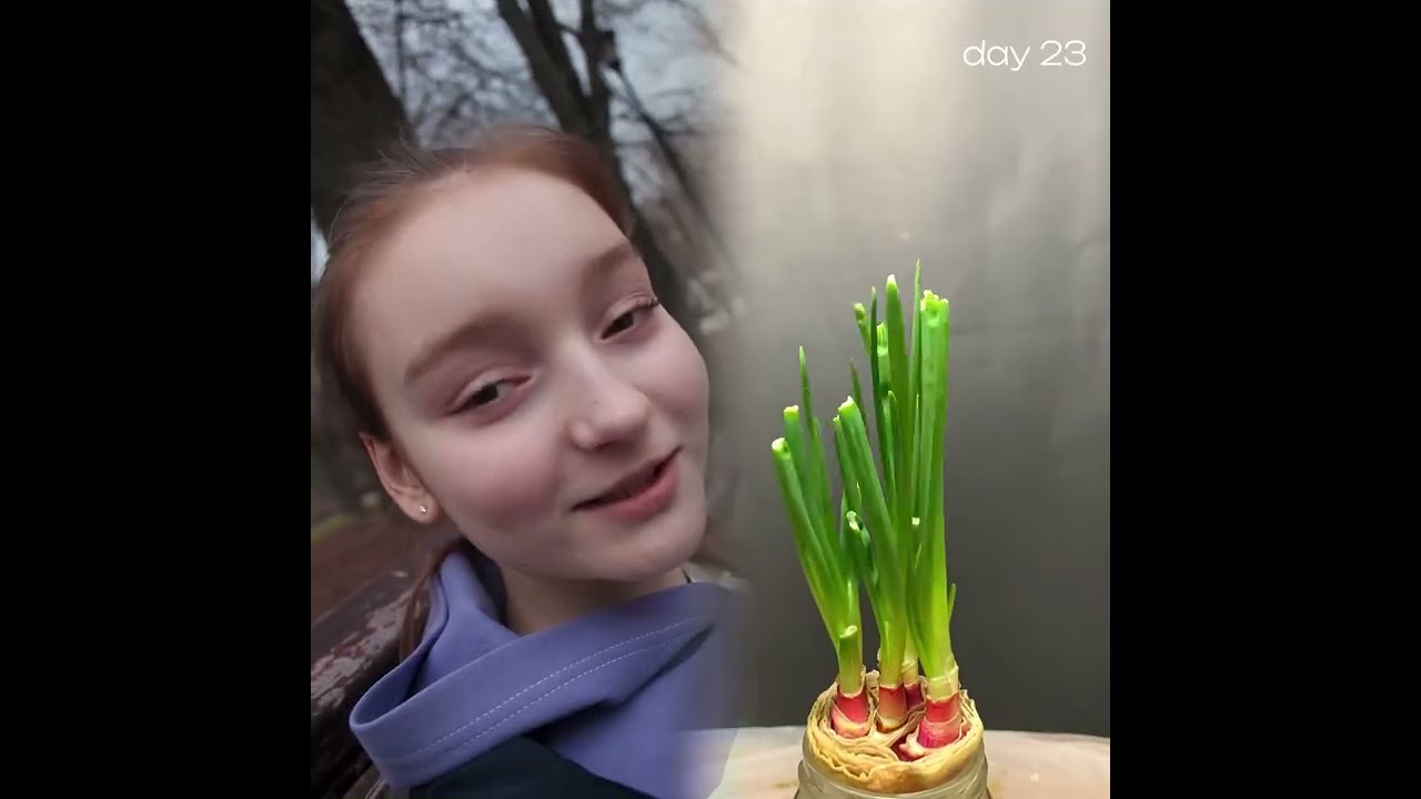 🤣👌👌👌2026 pov Must-Watch Crazy Clips Compilation #humor #fypシ #pov #fyp #foryou 😍😜 