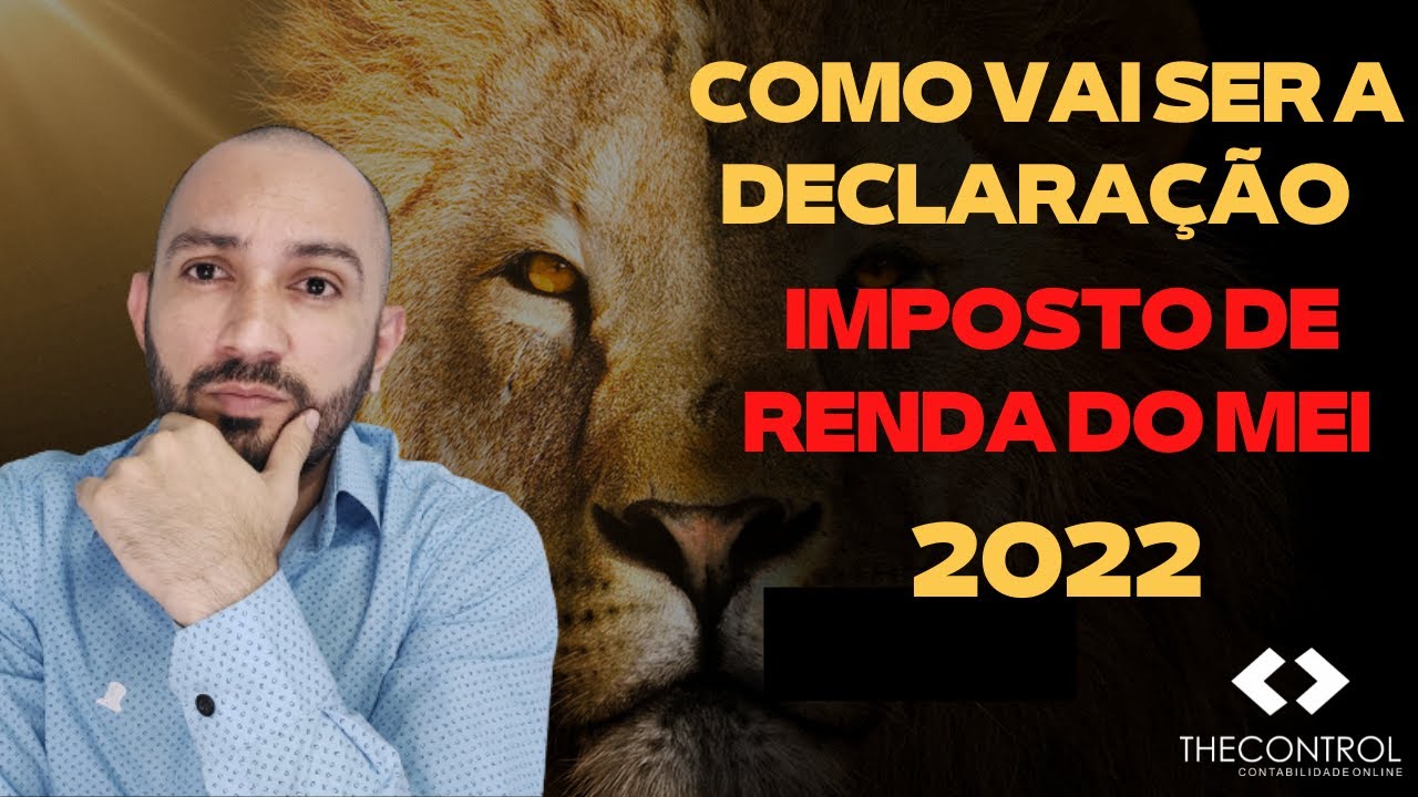 TUDO SOBRE O IMPOSTO DE RENDA MEI 2022 l O passo a passo dos valores no Imposto de Renda