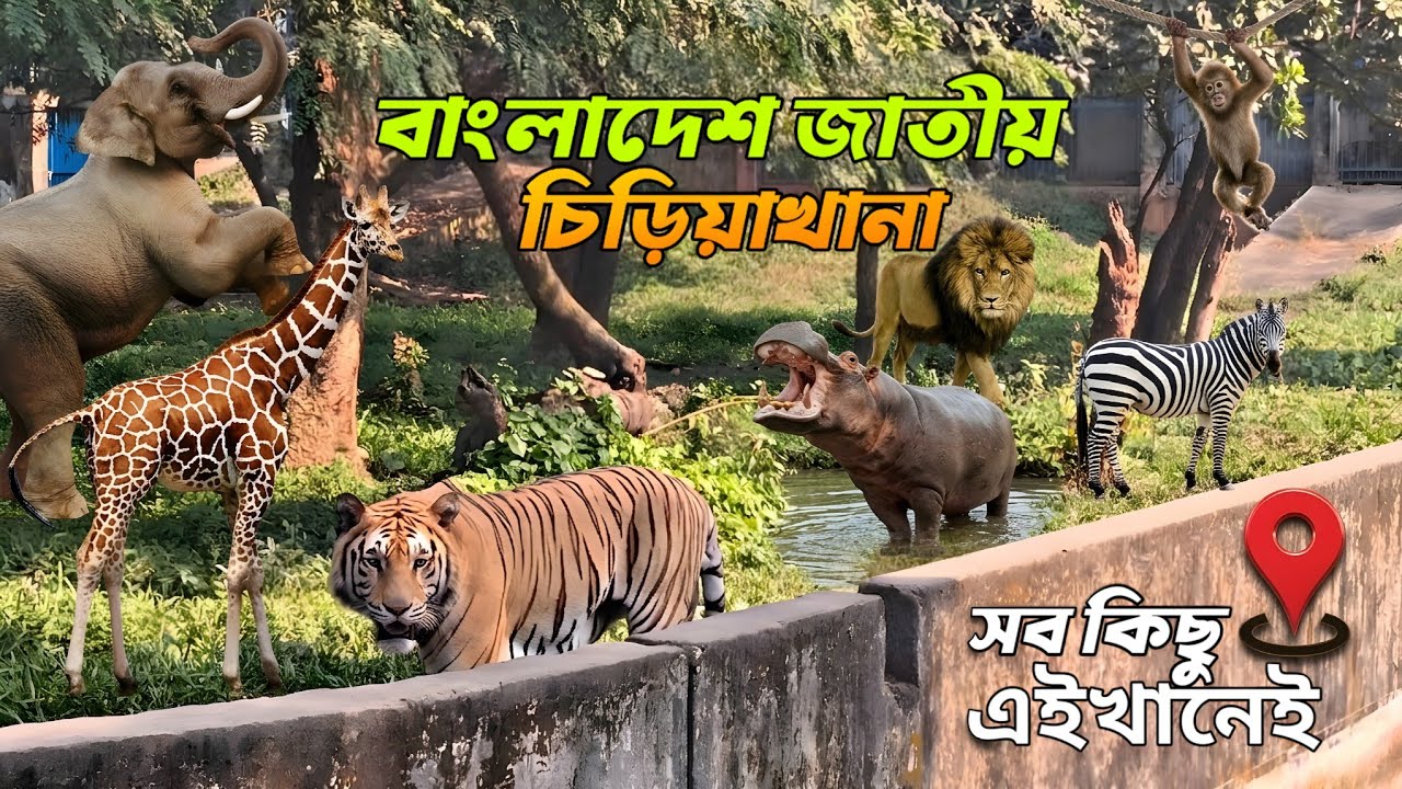 বাংলাদেশ জাতীয় চিড়িয়াখানা মিরপুর | Bangladesh National Zoo