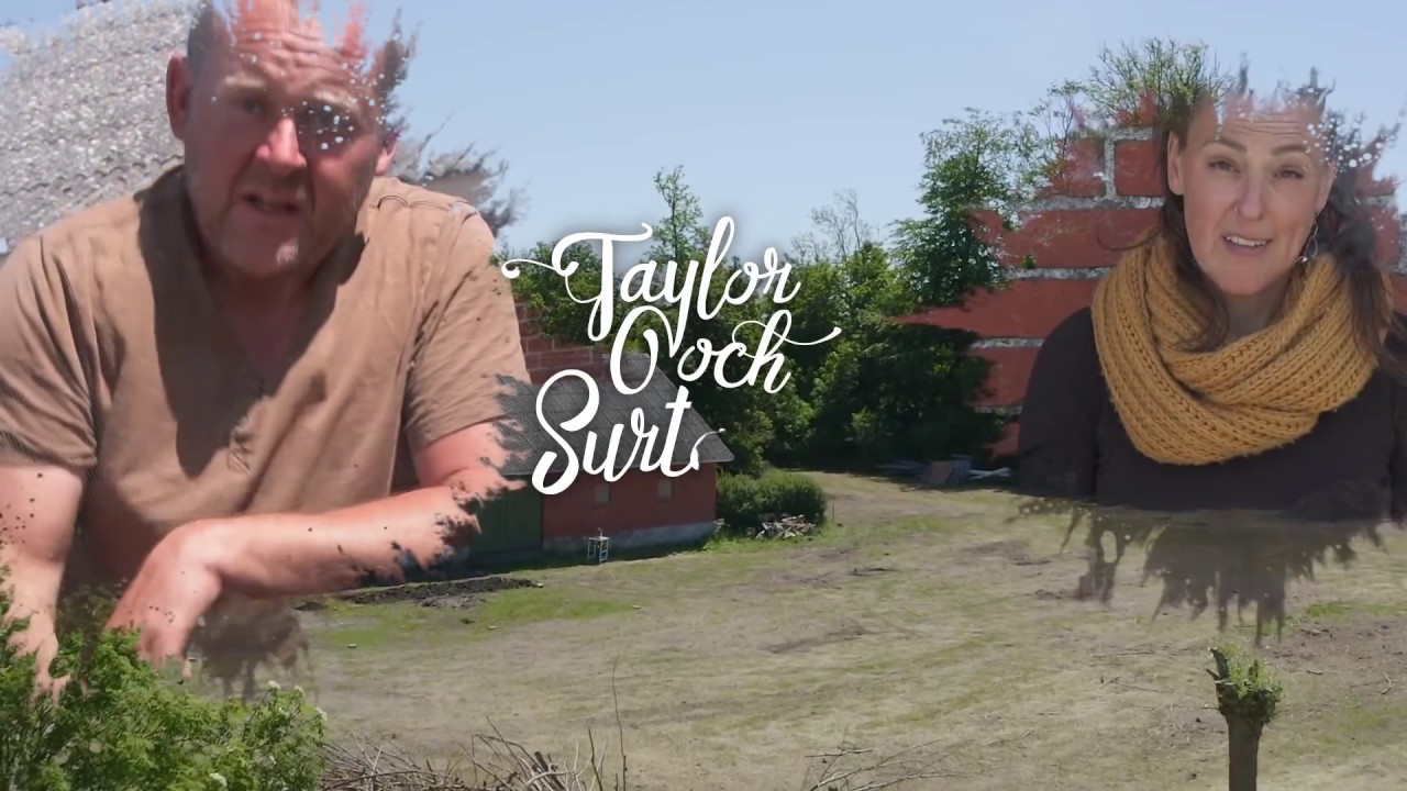 Taylor & Surtanten Avsnitt 1