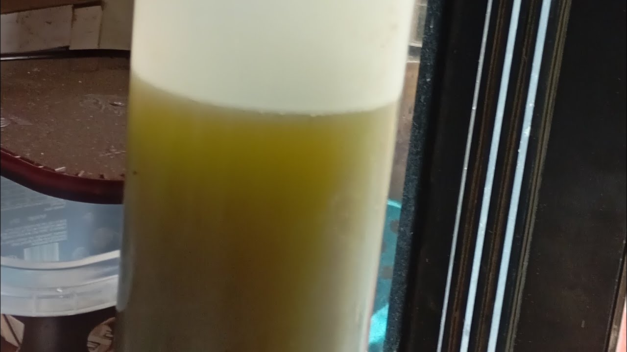Homemade Hair oil 