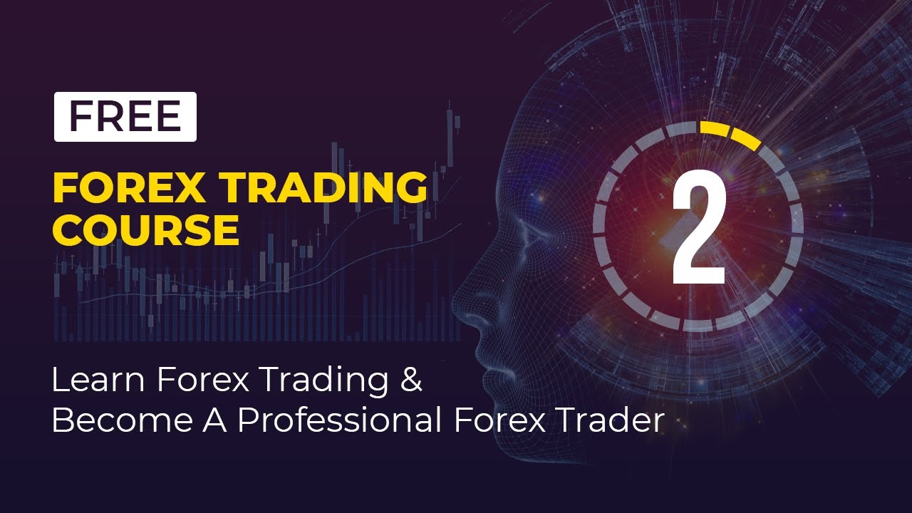The Best Forex Trading for Beginners Course - Lesson 2 (Become A Professional Forex Trader)