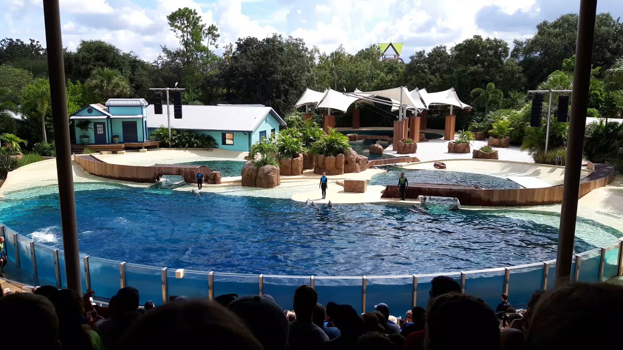 "All Around the World" - Dolphin Adventures at SeaWorld Orlando