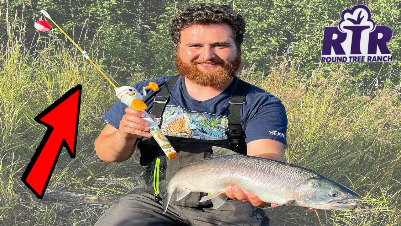Catching Alaskan Salmon On Toy Fishing Pole 2021