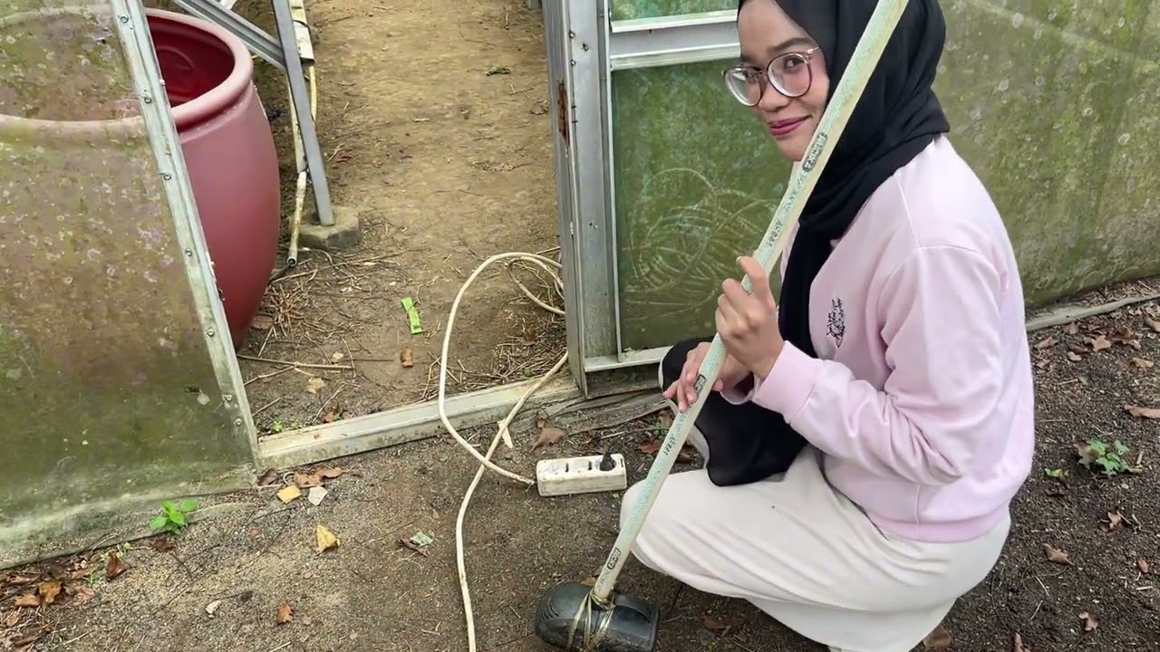PL(Destu Oktrat Rasti Pertiwi_Pekan 3_Pakcoy)