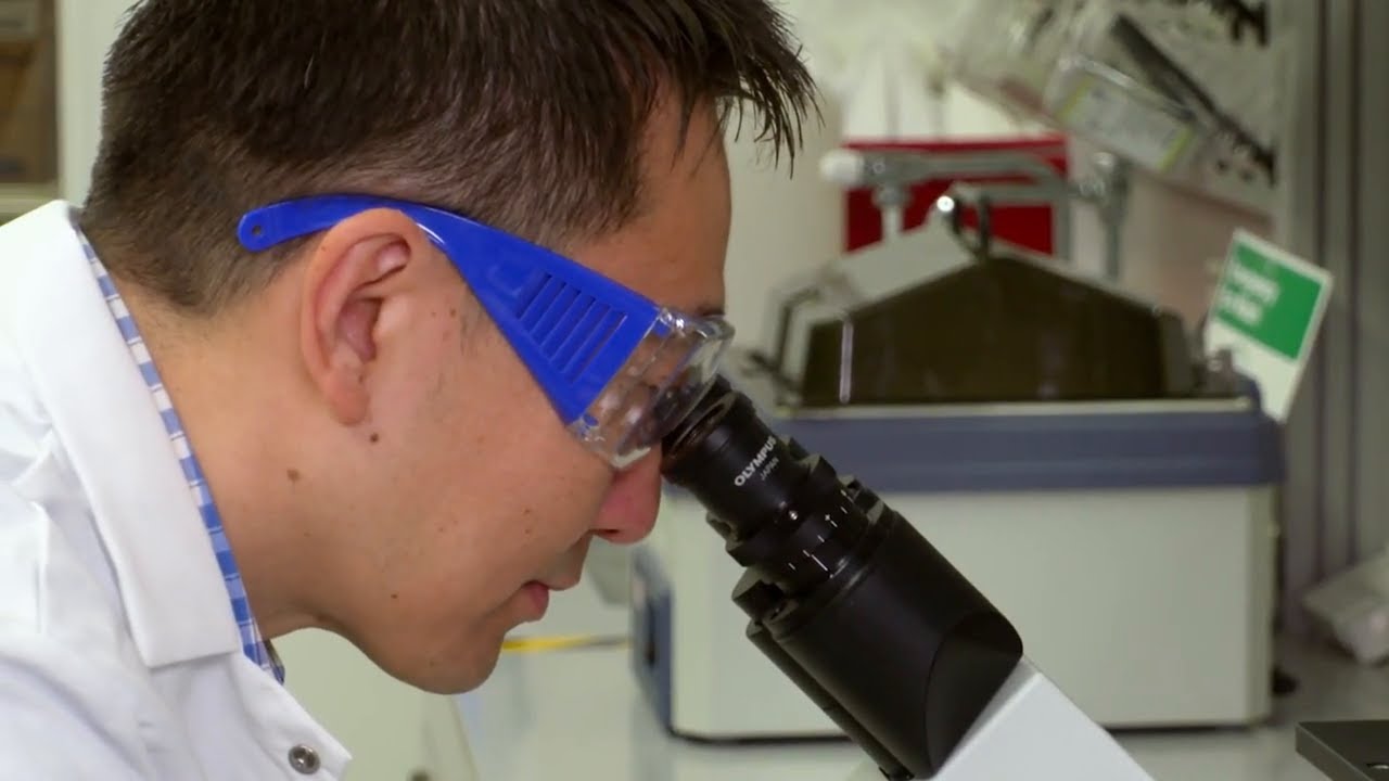 Tissue Culture Series #2: How to Perform Routine Monitoring of Healthy Cells