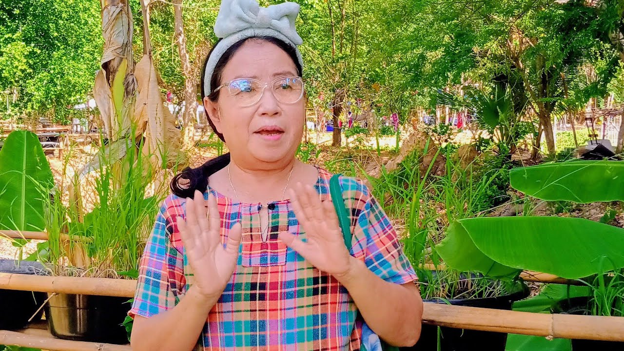 วันนี้มารับชมโคกหนองนาที่ปรับปรุงใหม่