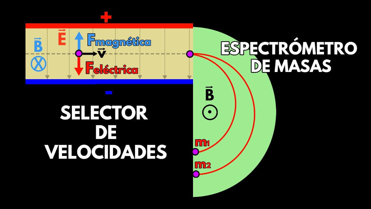 Selector de velocidades. Espectrómetro de masas. Campo magnético. Bachillerato. PAU.