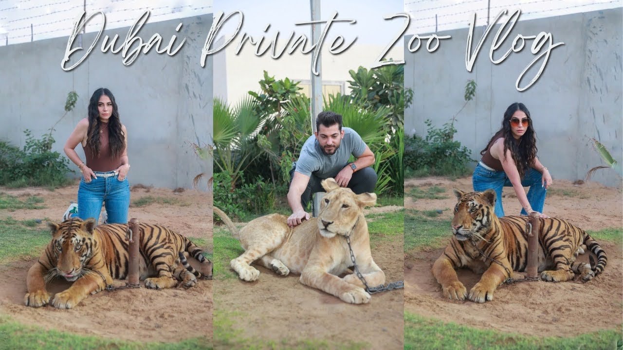 Visiting the Wildest Jungle in Dubai!
