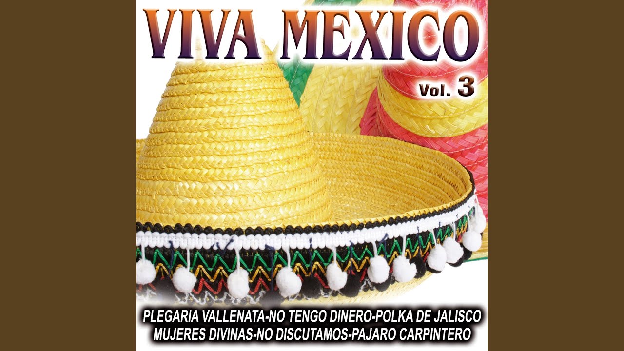 Mi Gusto Es