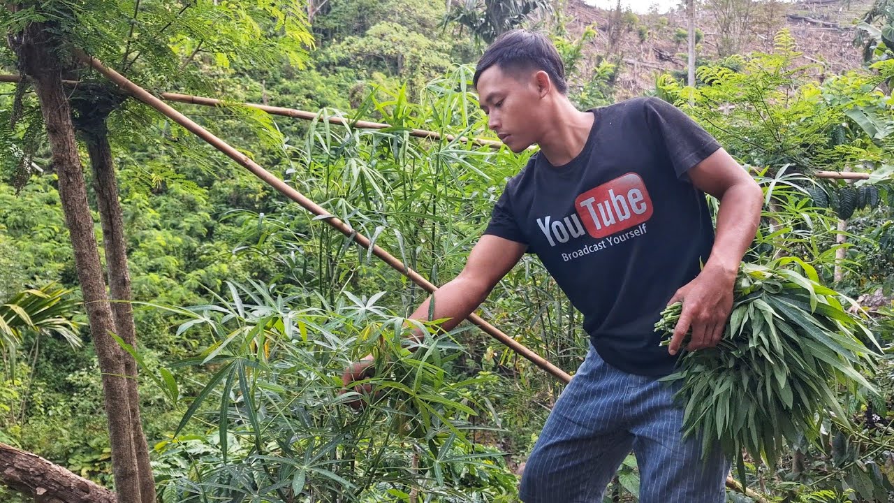 Menu Sederhana Makan Pulang Kerja, Daun Singkong Rebus, Sambel Tempe