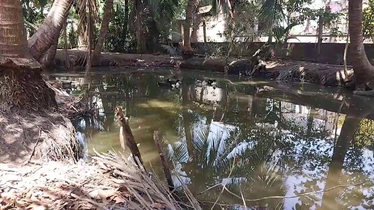 11 Giờ Trưa Mùng 4 Tết Ở Tiền Giang | Không Khí Quê Ngày Đầu Năm (11:35)