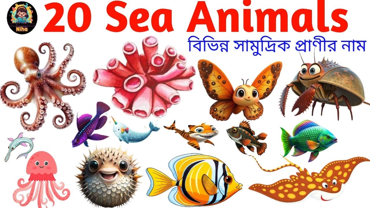 20 Sea Animals Name in English with Pictures | Sea Animals for Kids