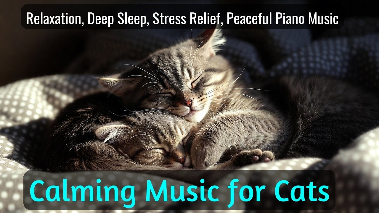 Calming Music for Cats - Relaxation, Deep Sleep, Stress Relief, Peaceful Piano Music | Season 71