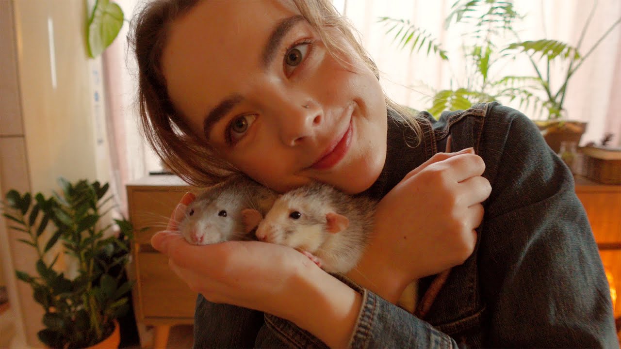 래트를 키우면 심심할 수 없는 이유🐭💛