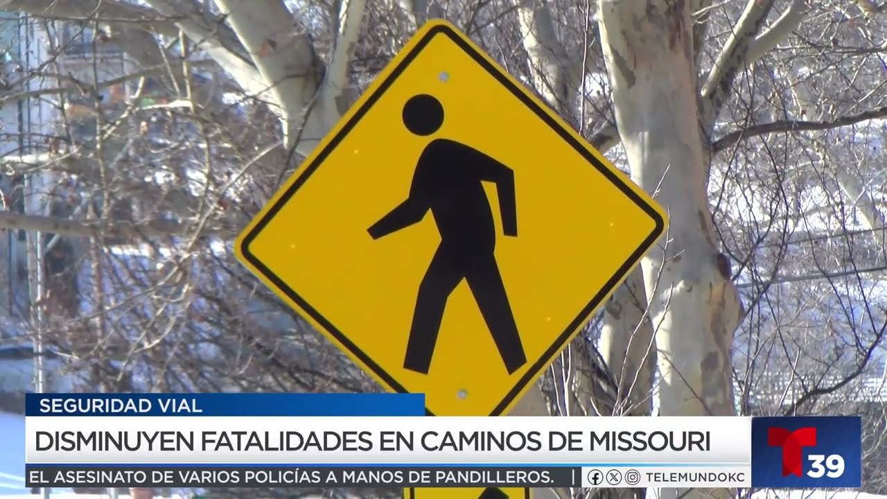 Atención conductores, se ha logrado una reducción histórica del 14% en muertes en carreteras.
