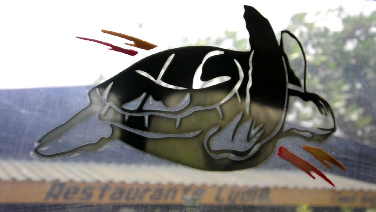 Tortuga voladora final cut