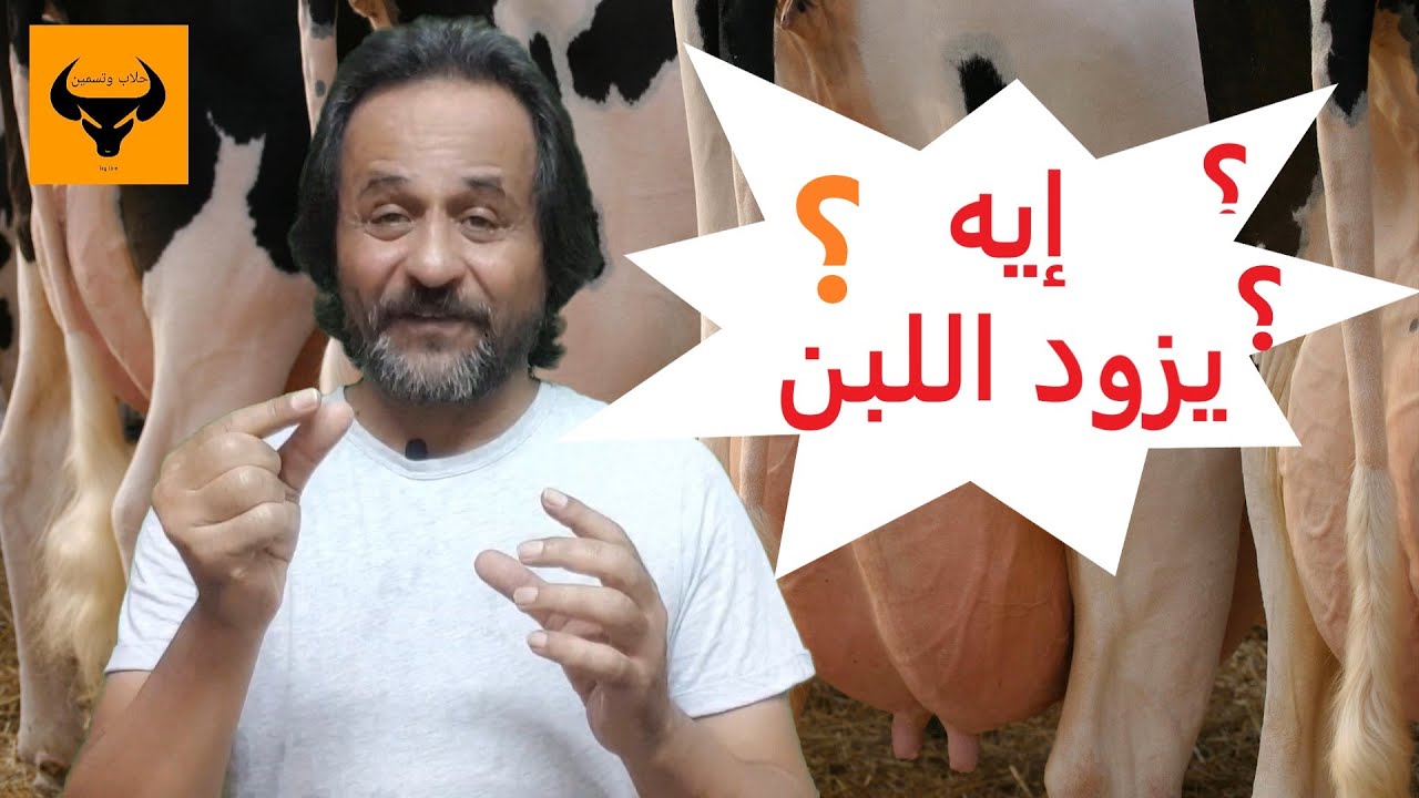 إيه اللي يزود اللبن؟