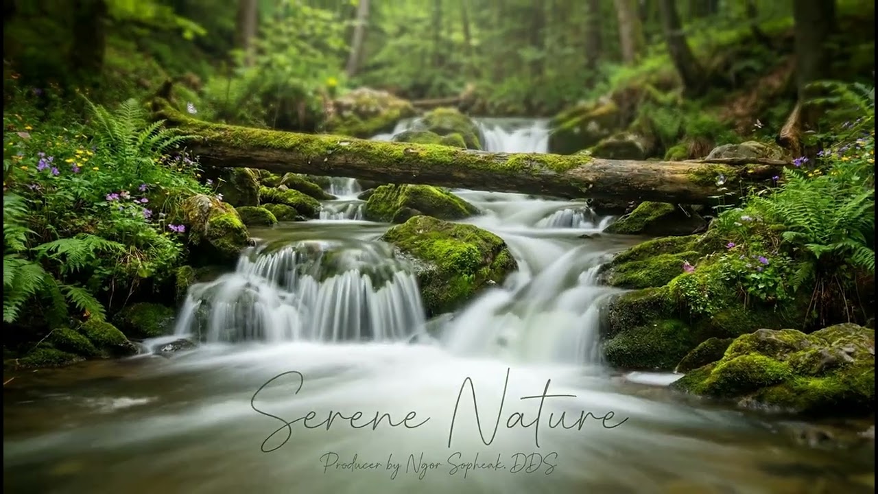 Relaxing music | Relaxing guitar | Yoga music | Reduce stress | Relaxing | Deep relaxation