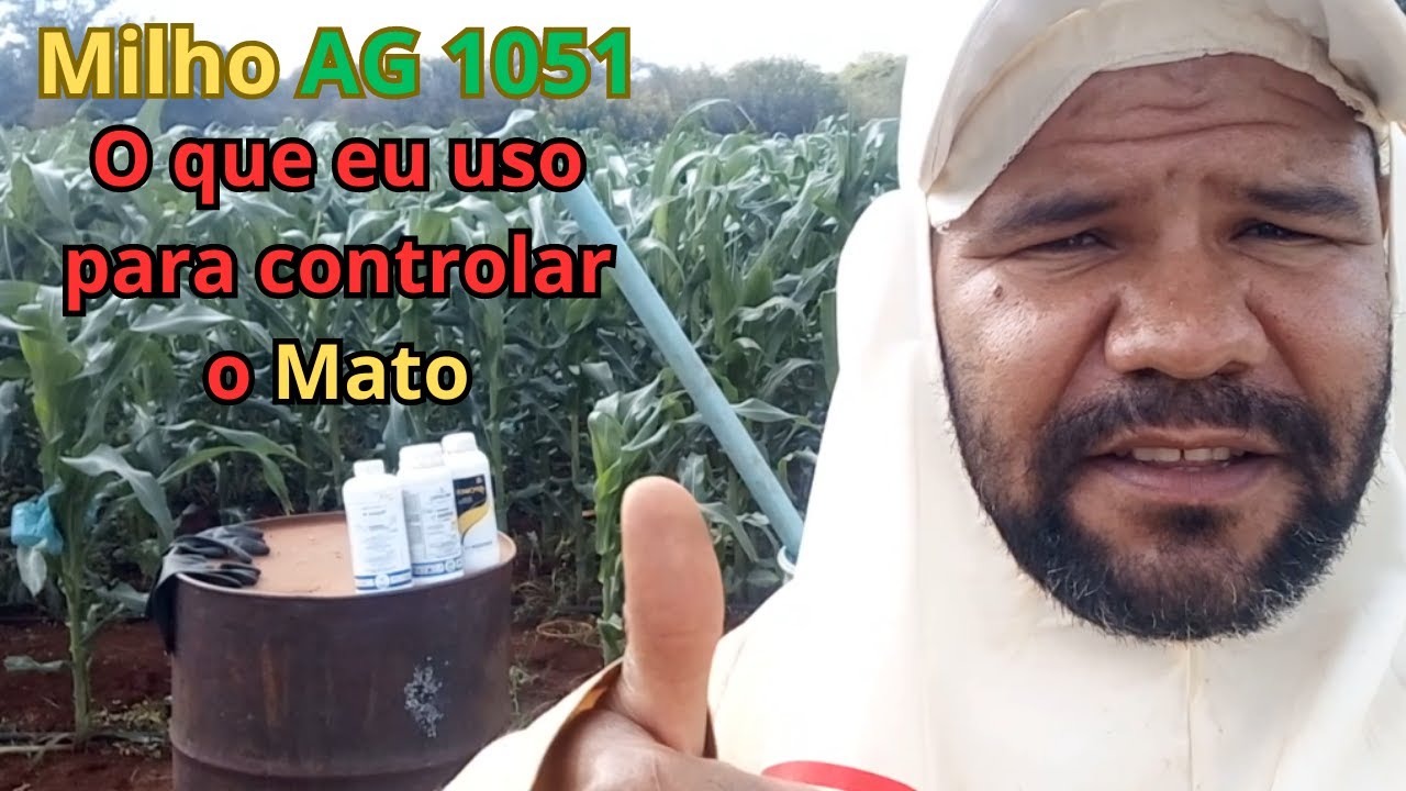O herbicida certo para o milho AG-1051