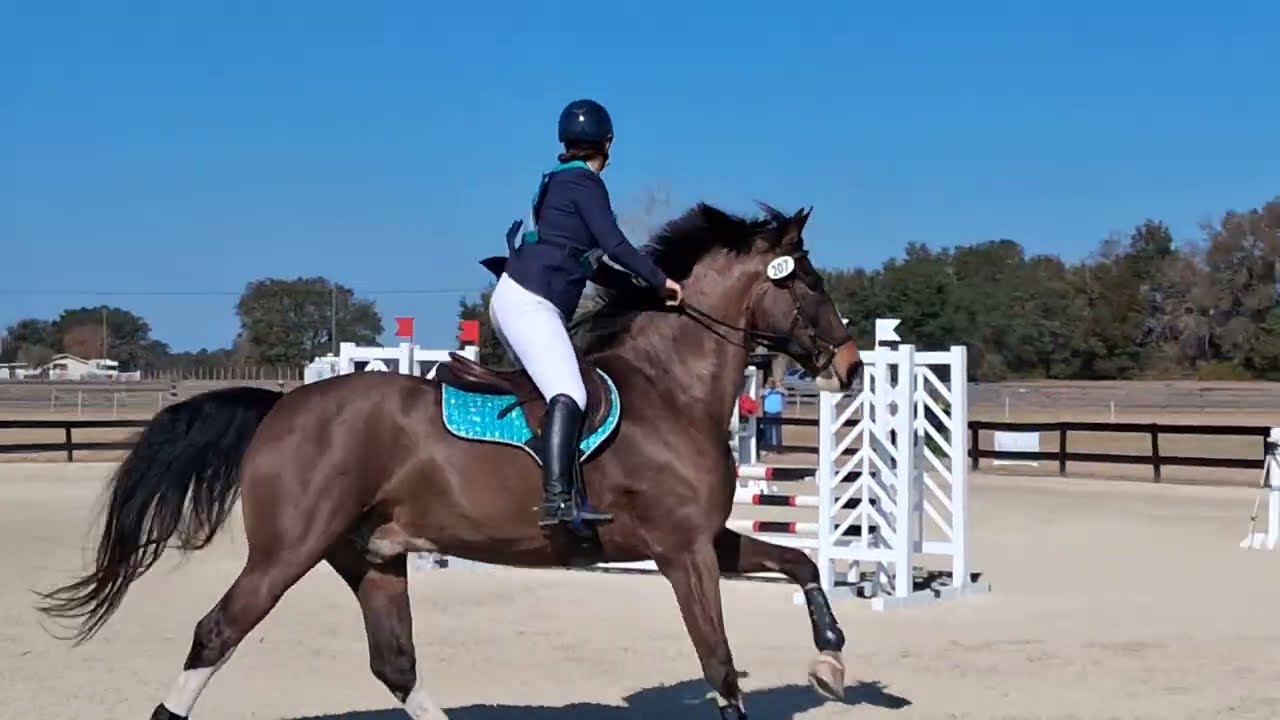 Stadium Jumping Double‑Clear! | Samantha Gamboa & Legend Has It (“Melvin”) – Training Level