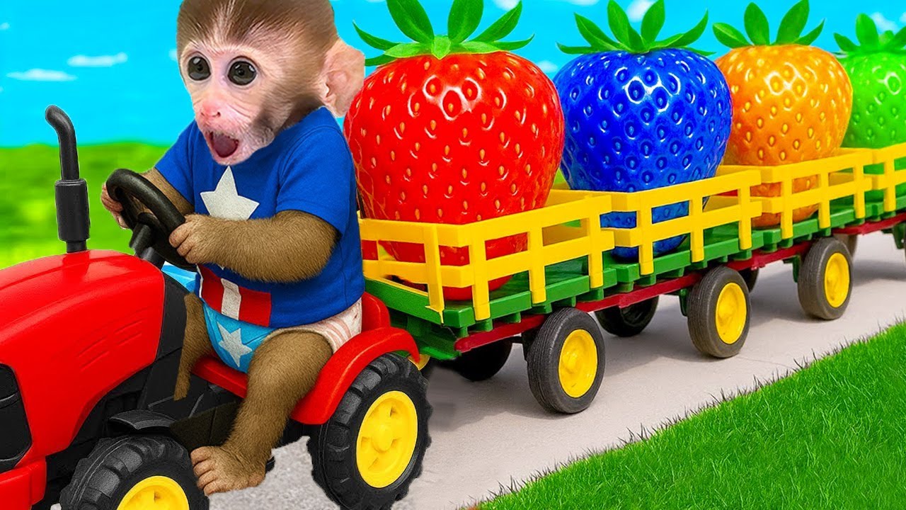 El peque&ntilde;o mono DuDu est&aacute; cosechando frutas y haciendo palomitas de ma&iacute;z arco&iacute;ris con el patito