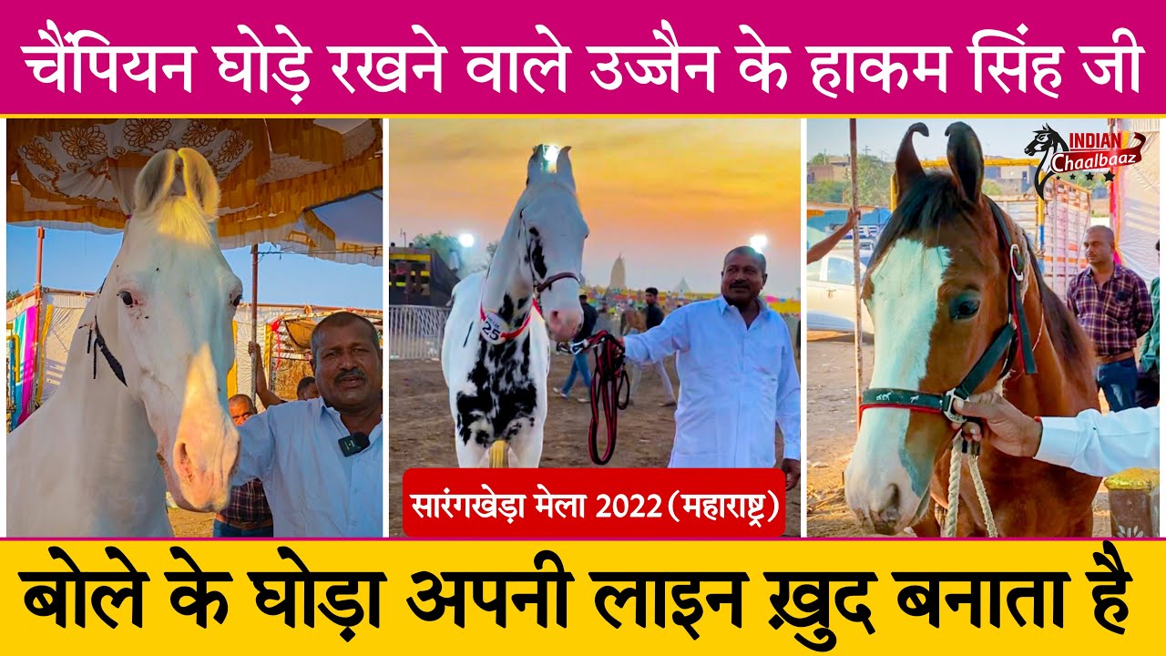 चैंपियन घोड़े रखने वाले हाकम सिंह जी बोले के घोड़ा अपनी लाइन ख़ुद बनाता है Sarangkheda Mela 2022