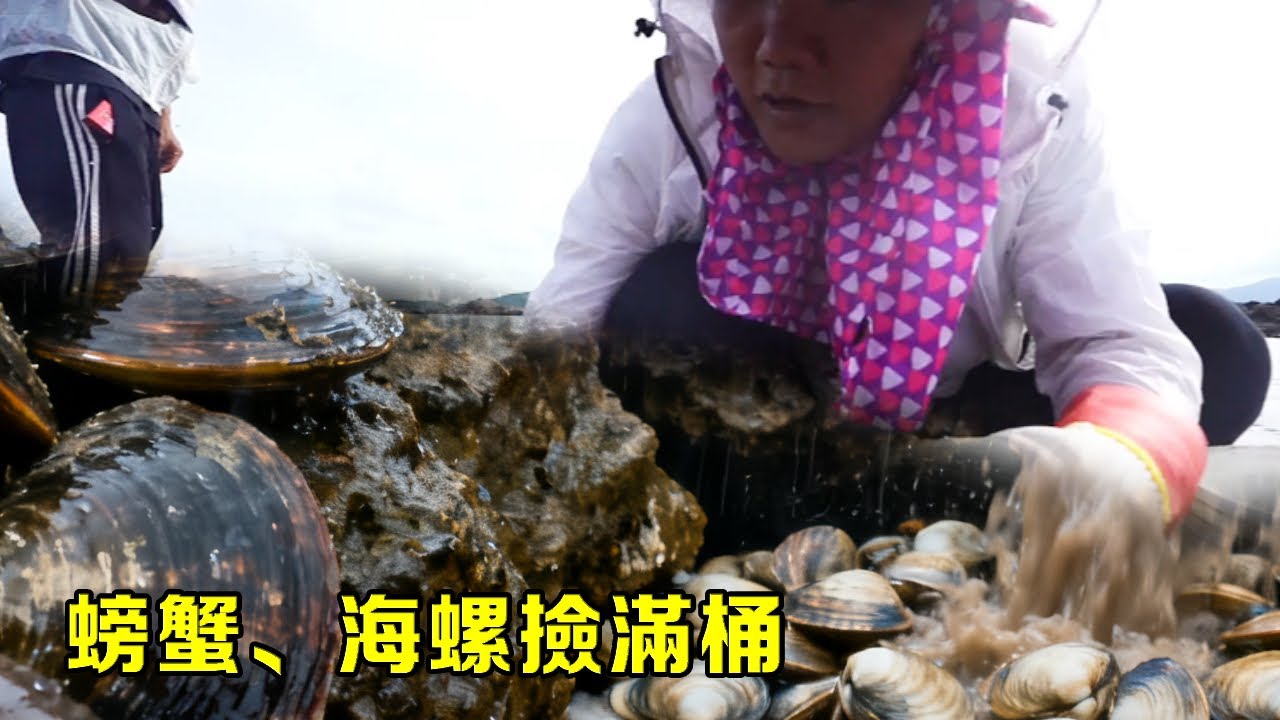 小漁趕海闖入無人島帶子窩，螃蟹、海螺撿滿桶，這下徹底實現海鮮自由【漁小仙】