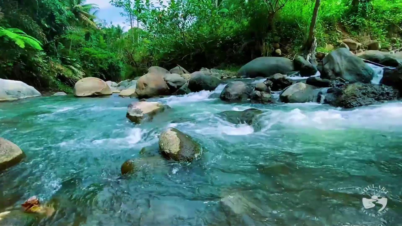 River Sounds & waterfall Sounds for Sleeping | Nature Stream for Relaxing & Stress Relief. #river 5
