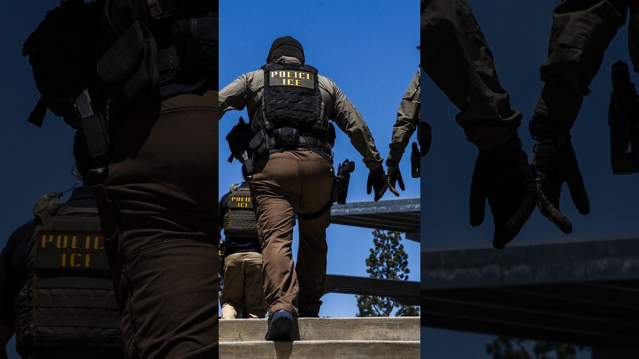 ICE plans to equip agents with electrical shock gloves