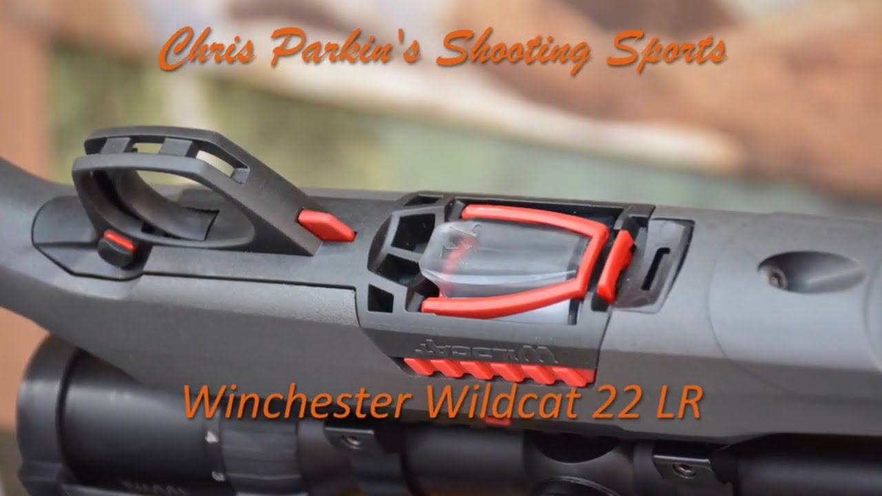 Winchester Wildcat 22 LR REVIEW
