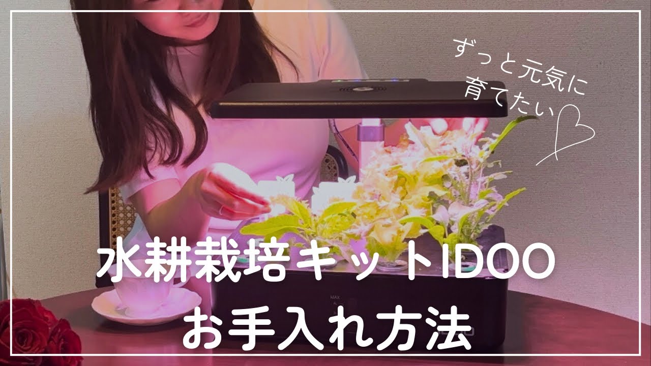 月1でOK！IDOO水耕栽培を長持ちさせる掃除＆お手入れ法