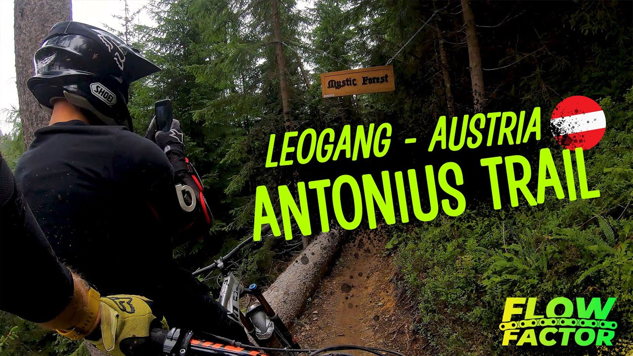 Antonius Trail - Leogang Bike Park - jazda enduro mega trawersem!