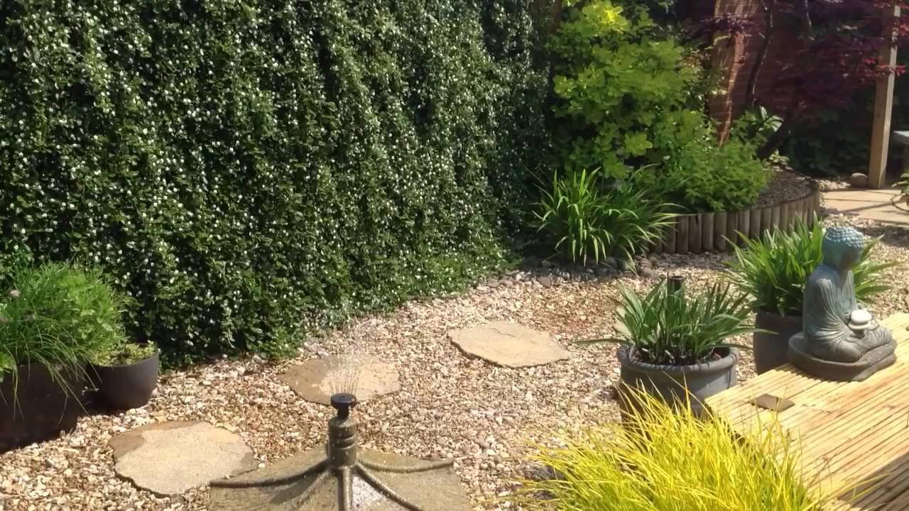 Widdale garden