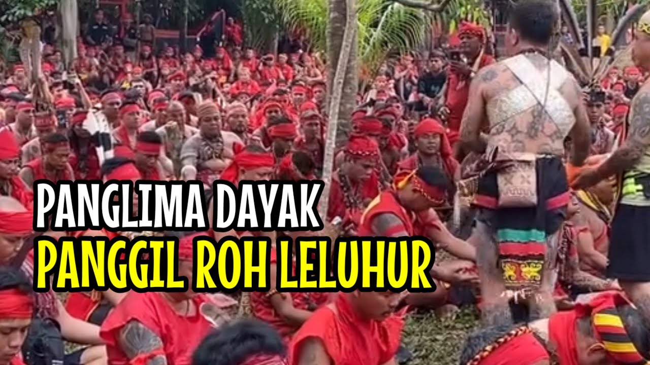 PANGLIMA DAYAK BIKIN PASUKAN MERAH TBBR KERASUKAN MASAL