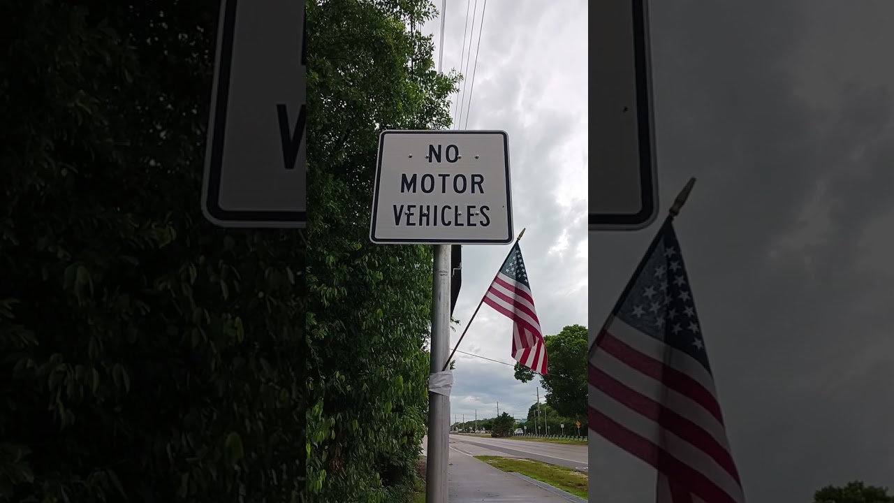 NO MOTOR VEHICLES