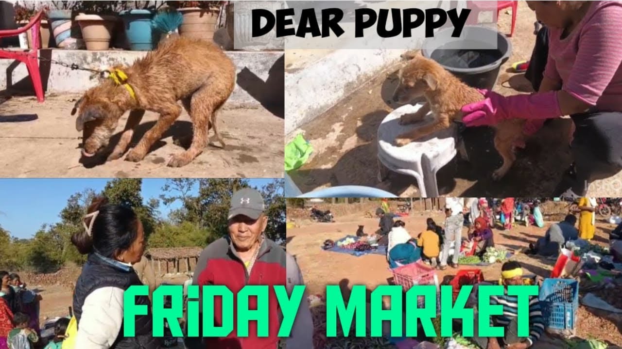 Friday Market || Mainpat  || Tibetanyoutuber || Tibetanvlogger