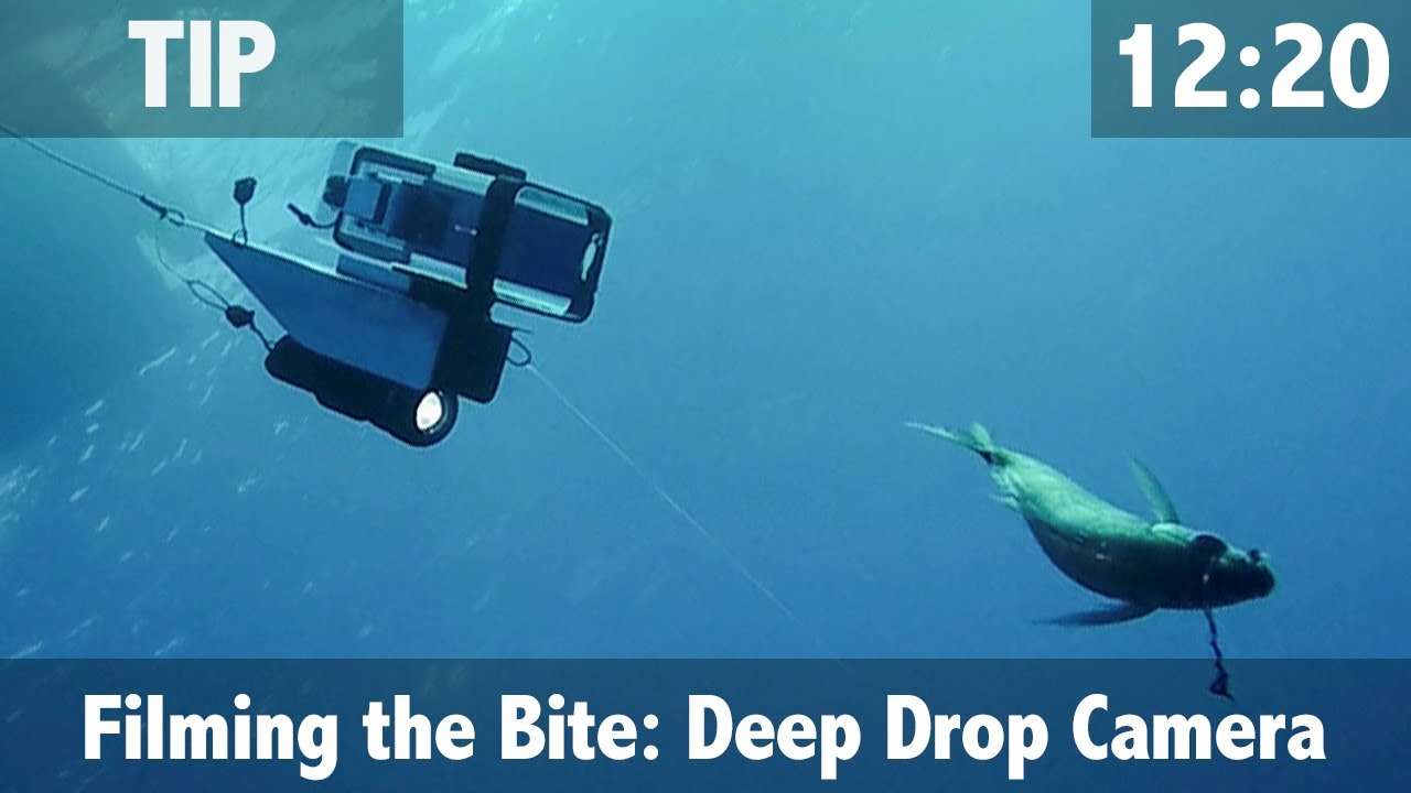 Съемка укуса: камера Deep Drop