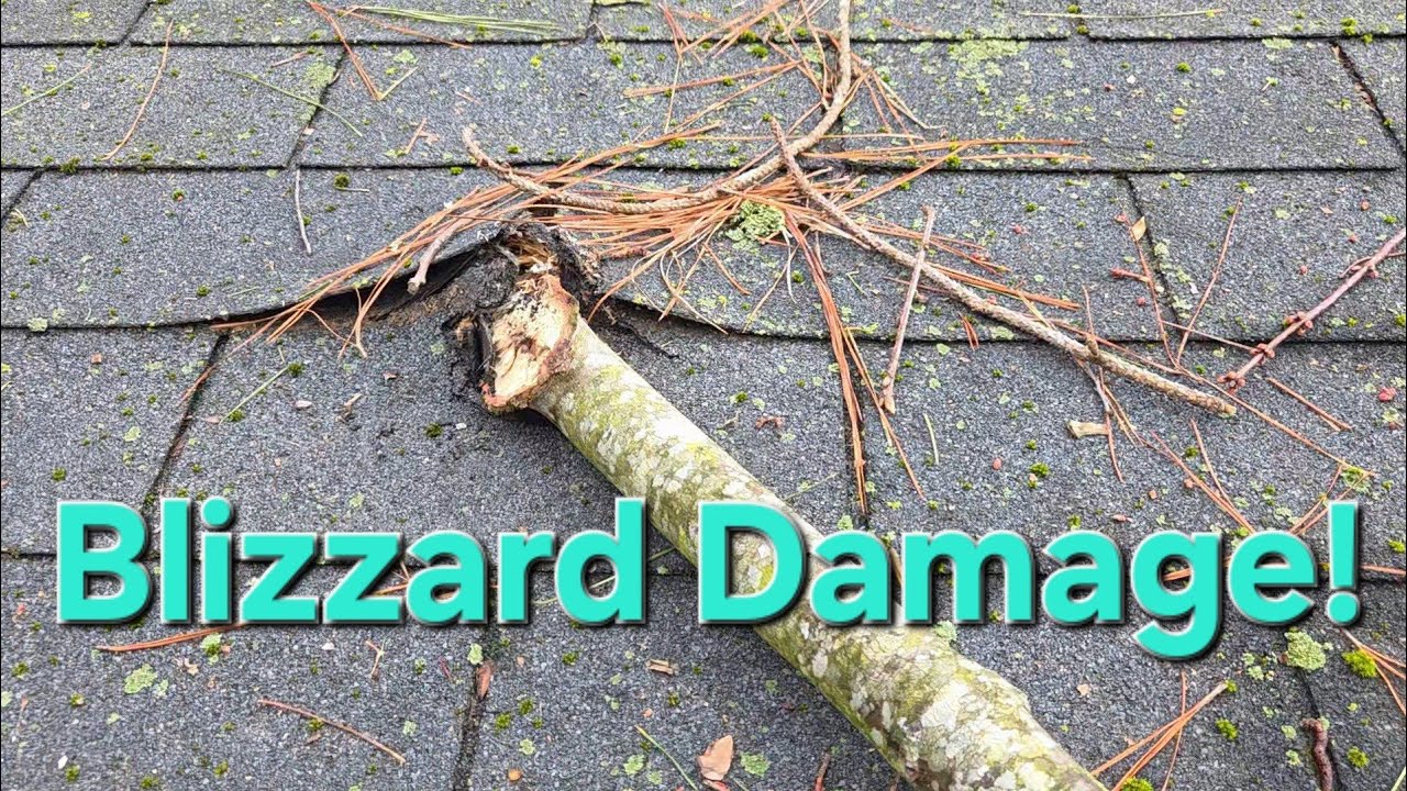 2026 Blizzard Put a Limb Through my Shed Roof!  Here is how I fixed it.