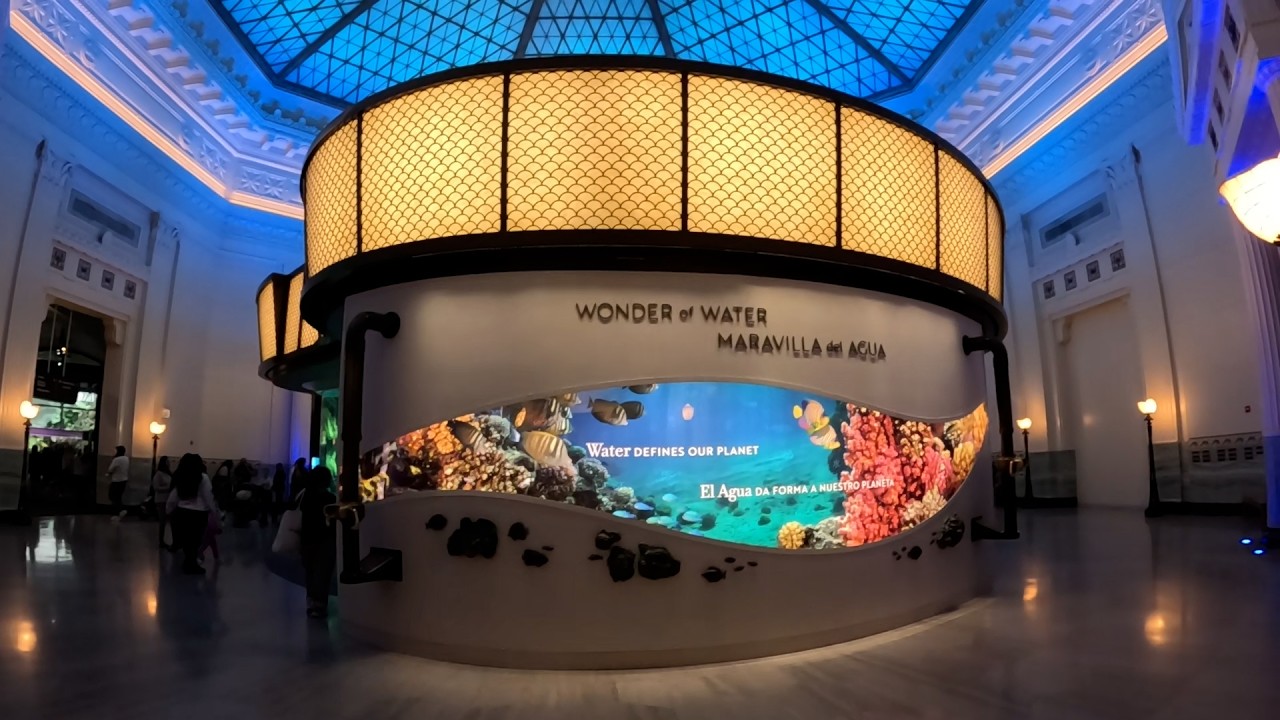 2-19-26 A day at the John G Shedd Aquarium #chicago #sheddaquarium #family