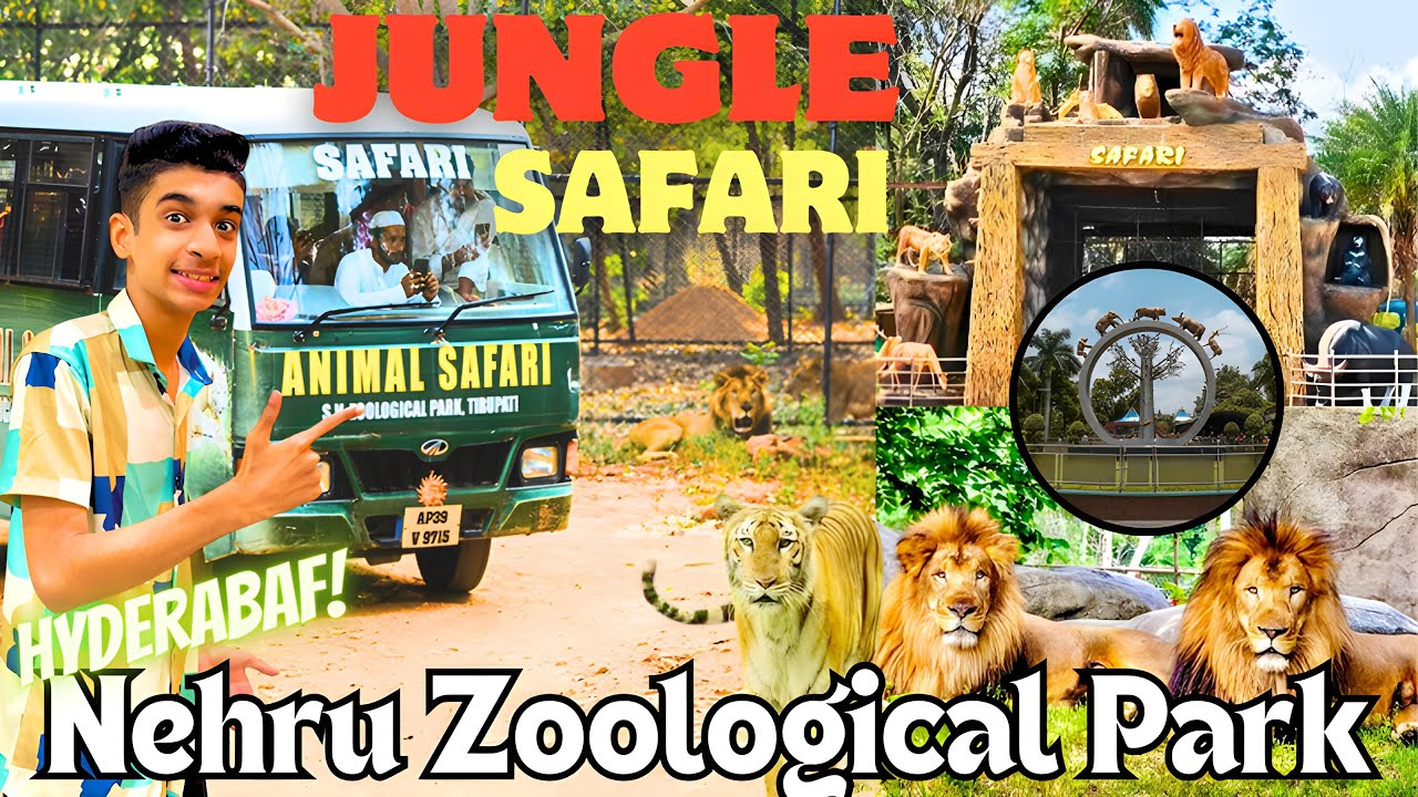 Hyderabad Zoo Park | NEHRU ZOOLOGICAL PARK | 1500 Animals All Animals 😮 | MD Ayaan vlogs