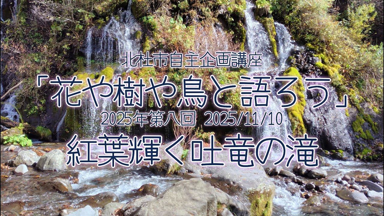 「花や樹や鳥と語ろう」2025年第八回　紅葉輝く吐竜の滝