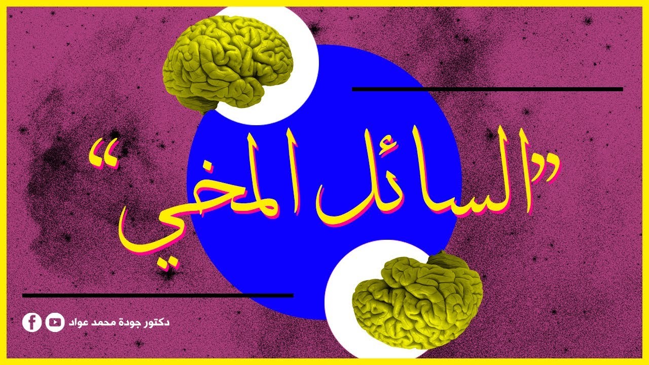 السائل المخي